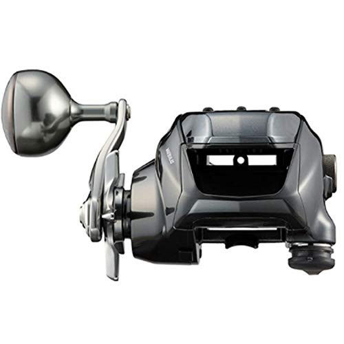 Daiwa 21 Seaborg 300JNEW