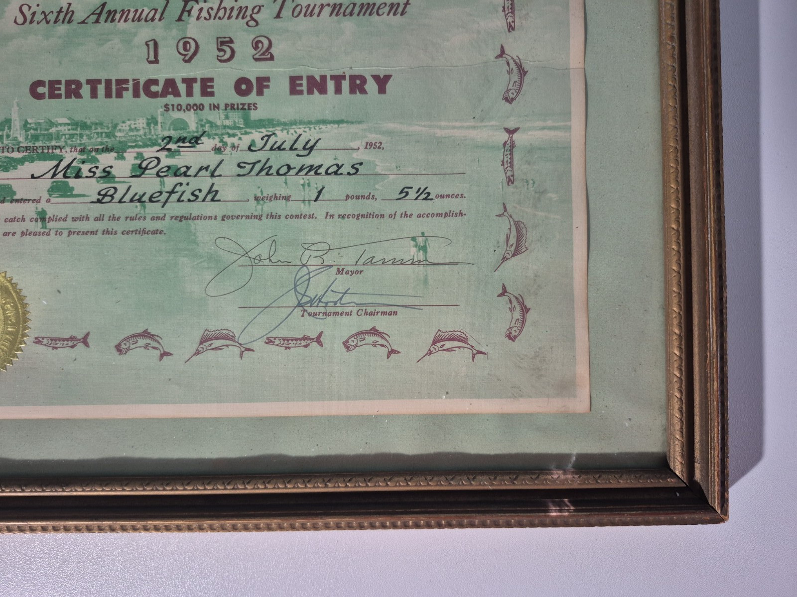 Vintage Daytona Beach Fishing Tournament Certificate Entry 1952 Framed Bluefish