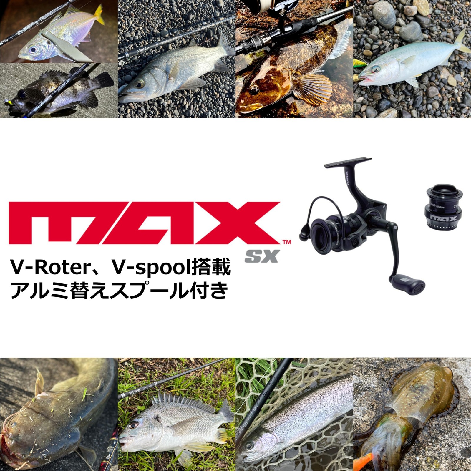 Abu Garcia Max SX 2000SH Spinning Reel Smooth Drag Lightweight Fishing Reel