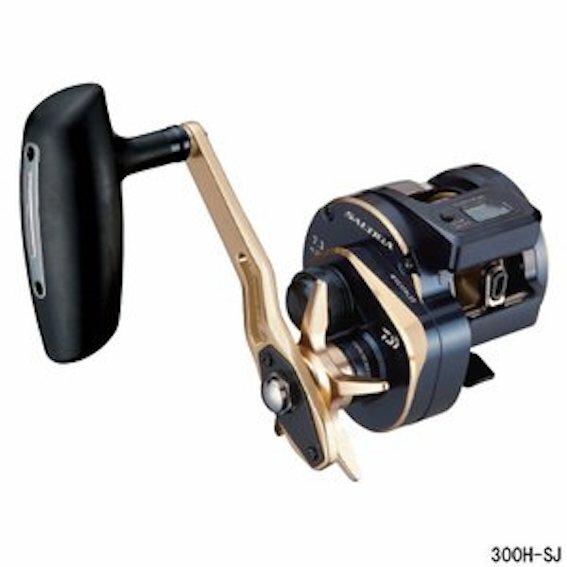 21SALTIGA IC 300H-SJ　Daiwa 21 SALTIGA IC 300H-SJ Right Handle Gear 7.3 Baitcast
