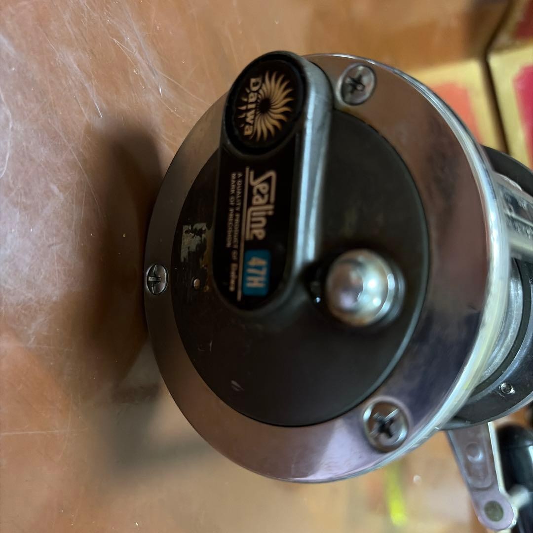 Daiwa Sealine 47H Dual-Axis Reel