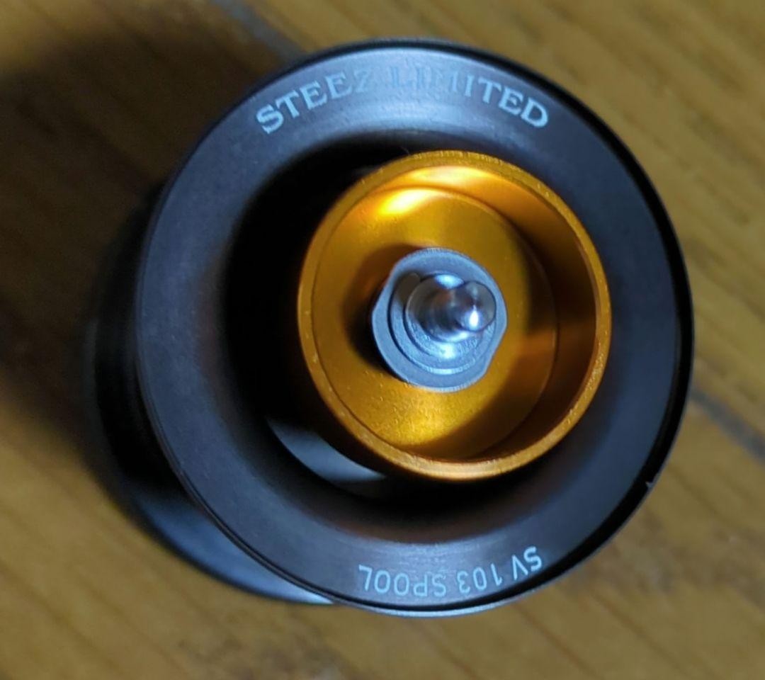 DAIWA Steez Limited SV TN 103H-TN Right 875337