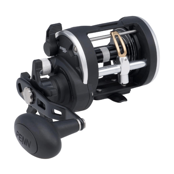 Penn RIV20LW Rival Level Wind Conventional Reel