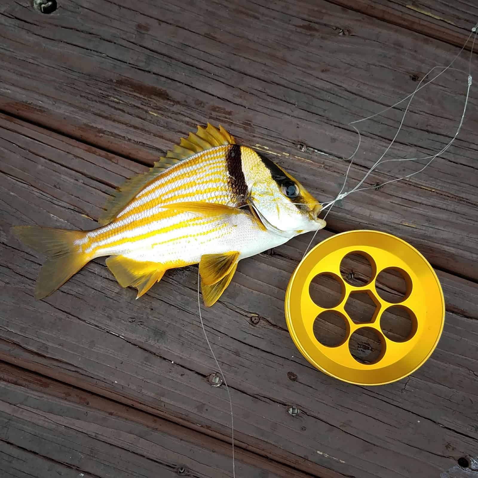 Aluminum Fishing Hand Line Reel Pocket/Travel