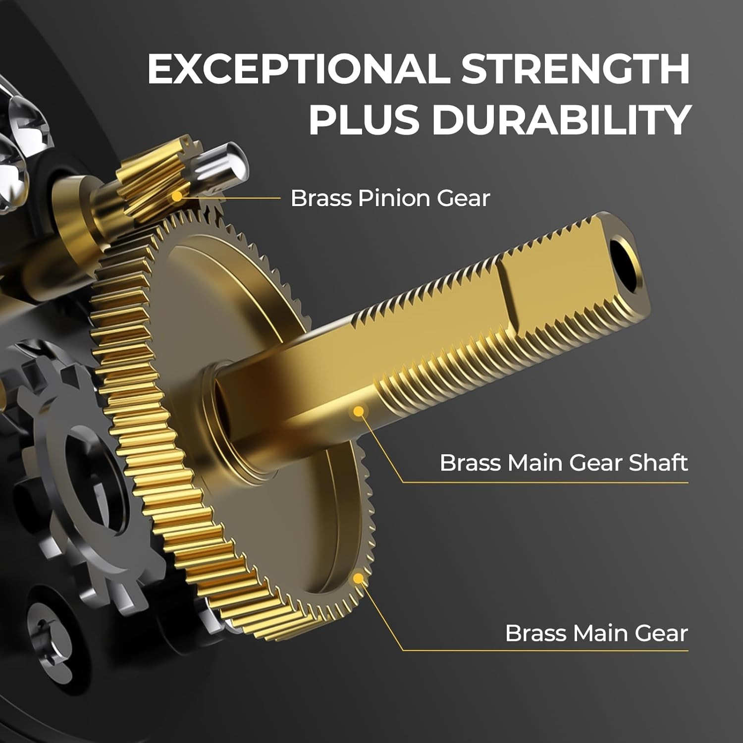 Rover Round Baitcasting Fishing Reel, Perfect Conventional Reel for Catfish, …
