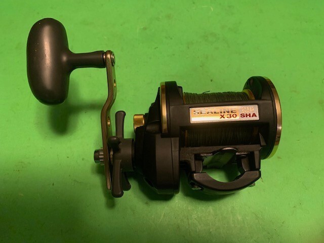 DAIWA SEALINE SPEED SHAFT X 30 SHA CONVENTIONAL CASTING FISHING REEL WITH BRAID
