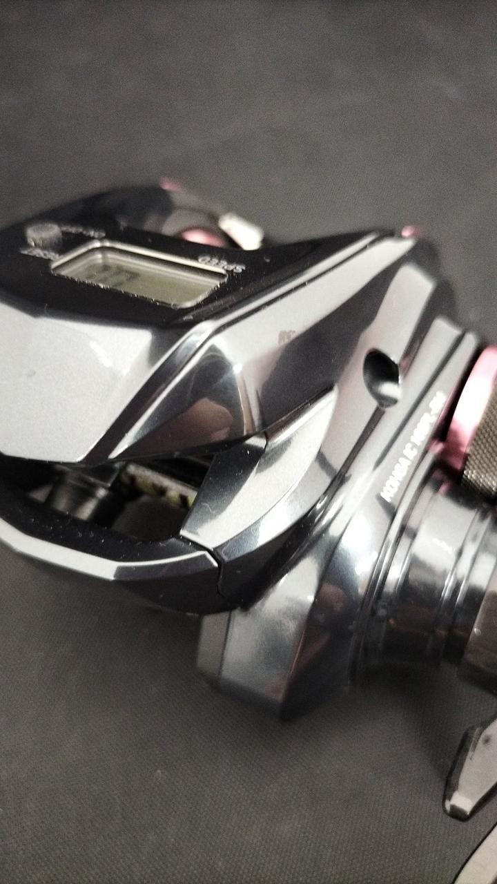 Daiwa IC100PL Baitcast Reel