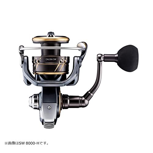 Daiwa 22 CALDIA SW 4000D-CXH 6.2 Spinning Reel exchangeable Handle ‎00065049 NEW