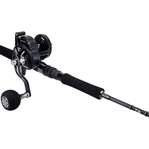 DAIWA Bait reel 19 Catalina 15H (2019 model)