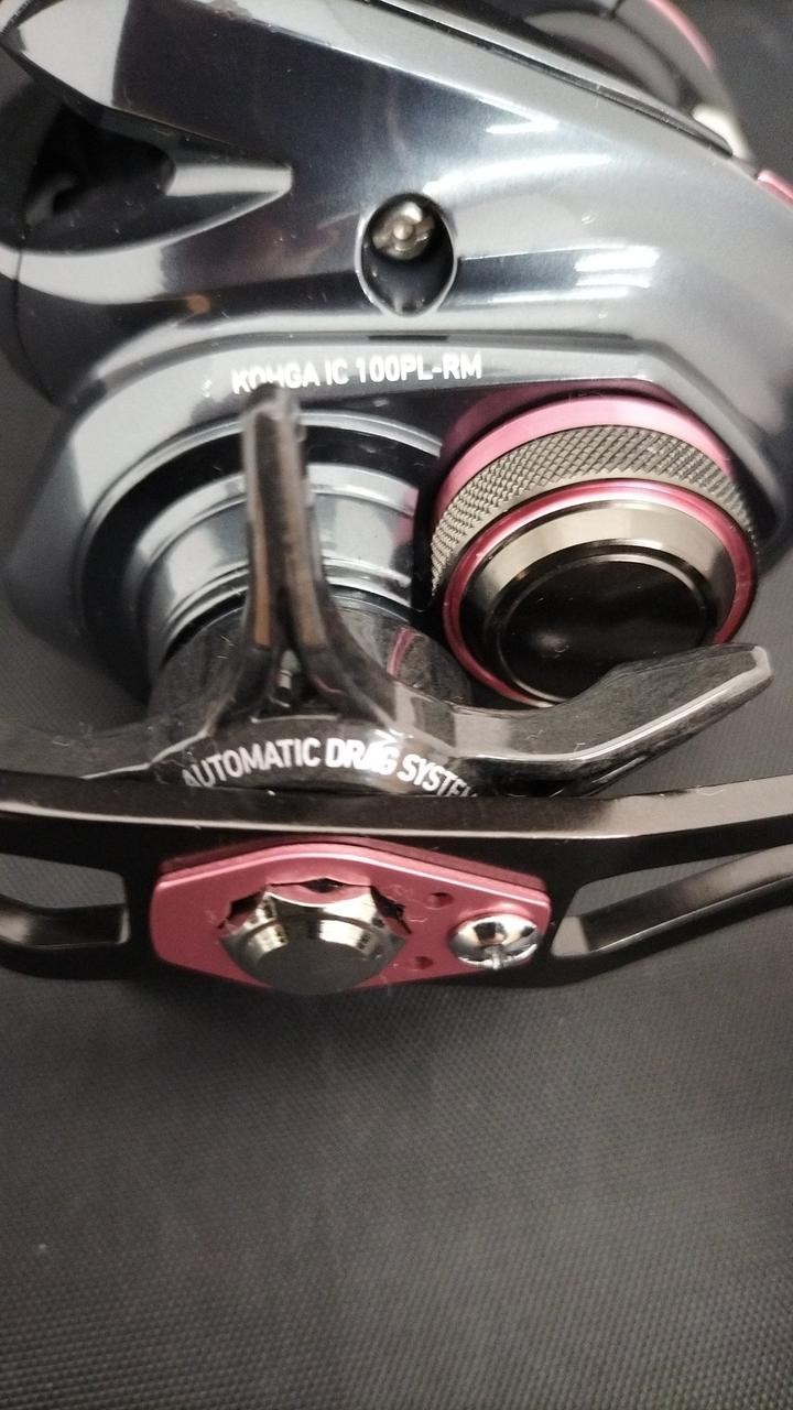 Daiwa IC100PL Baitcast Reel