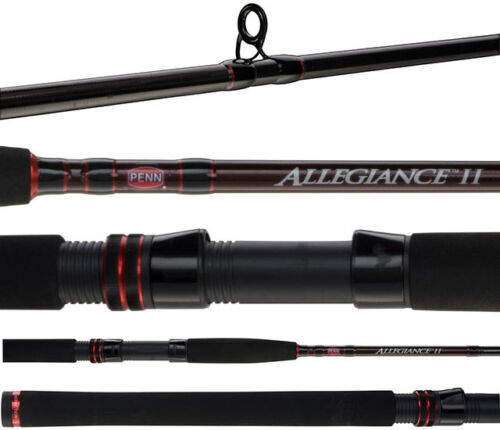 Penn Allegiance II Surf Beach Series 2 Piece Spin Fishing Rod 12′ 8-12kg