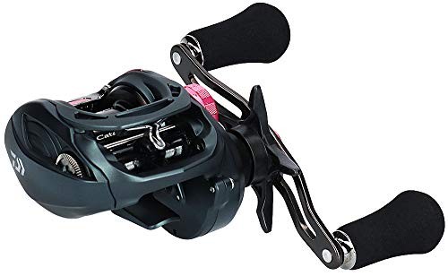 Daiwa Catarina TW 100PL-RM Baitcasting Reel Saltwater Fishing Reels Black