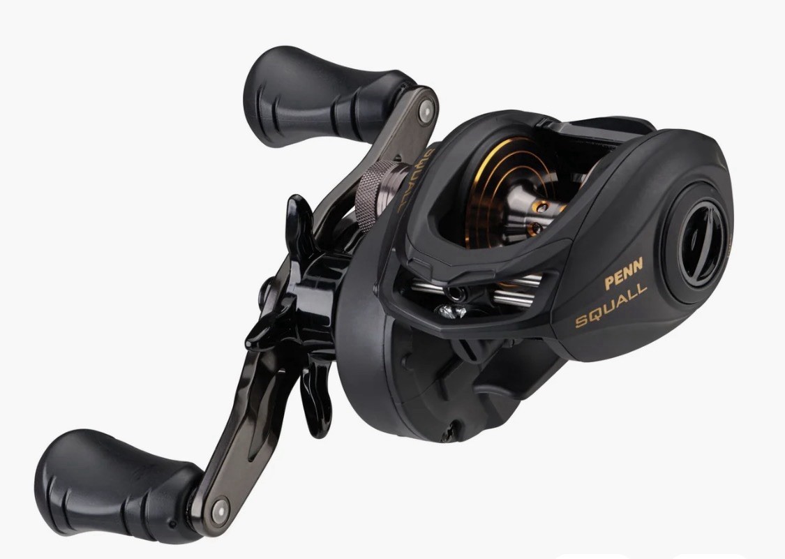 Penn Squall Low Profile SQL200LPHS High Speed Baitcast Reel