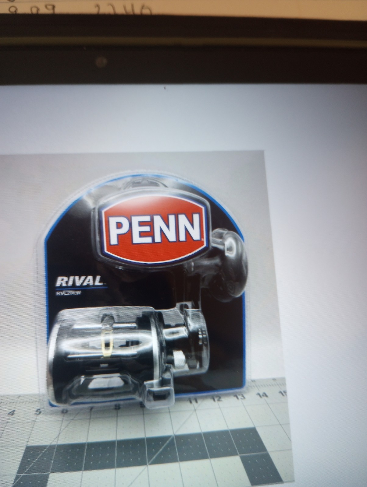New Sealed Penn Rival RVL20LW Saltwater Levelwind Fishing Reel 5.1:1 Gear Ratio