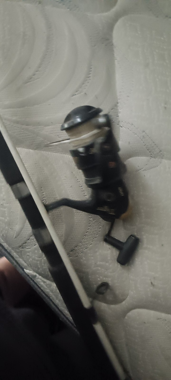 Shakespeare Spinning Tiger Reel/rod Combo
