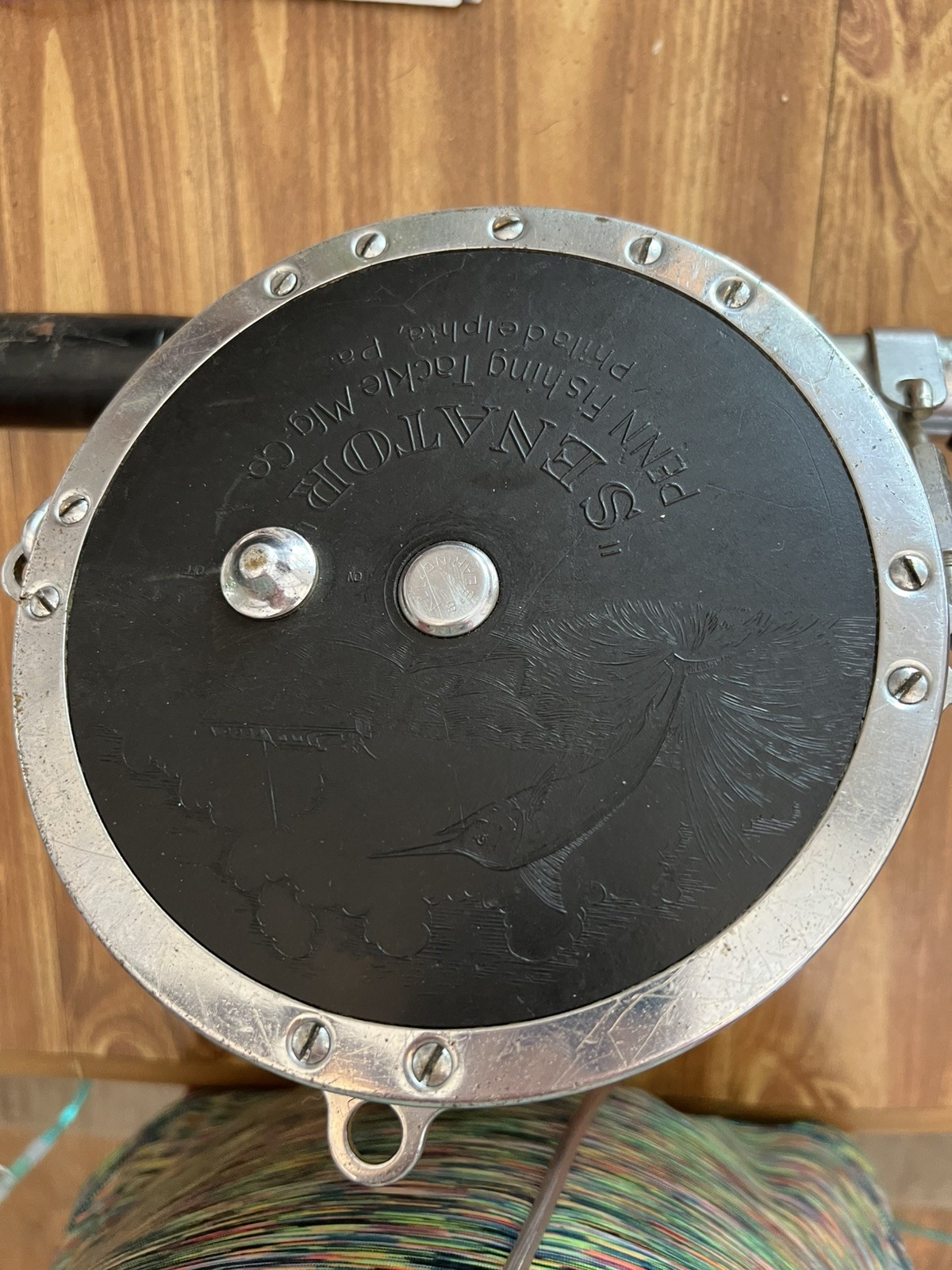 Penn Senator 16/0 Reel with Heavy Saltwater Trolling Rod