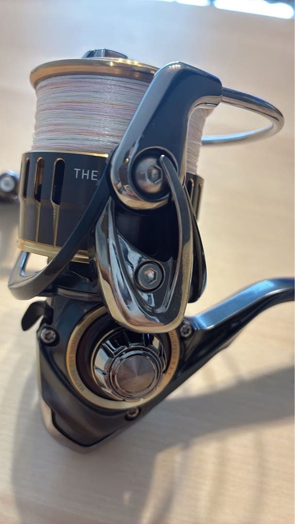 Daiwa Theory 2508PE-H 62294