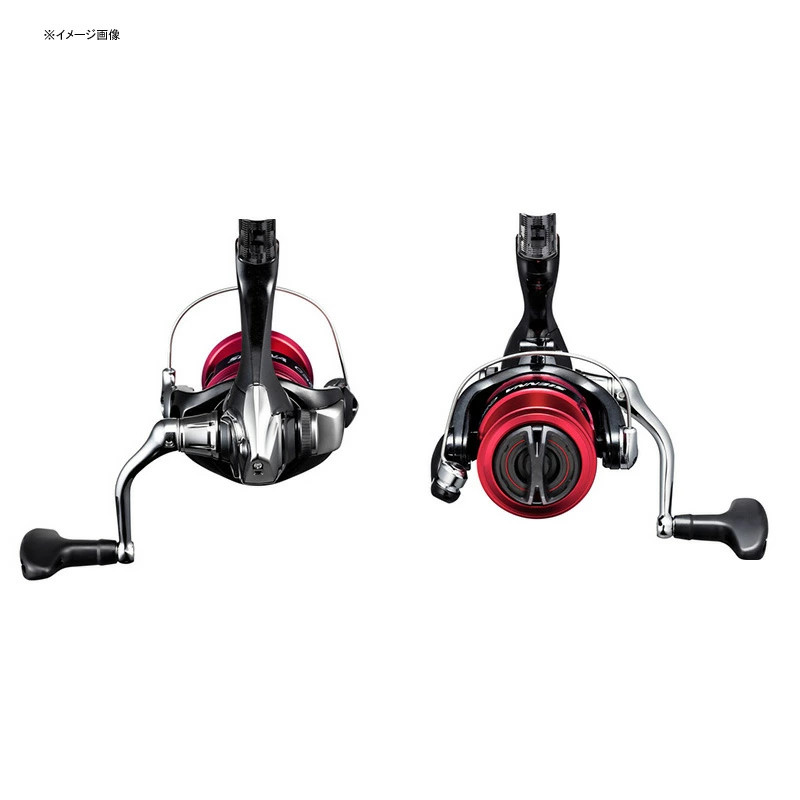 Japan Shimano 19 Sienna C3000 with No. 3 Line 040923
