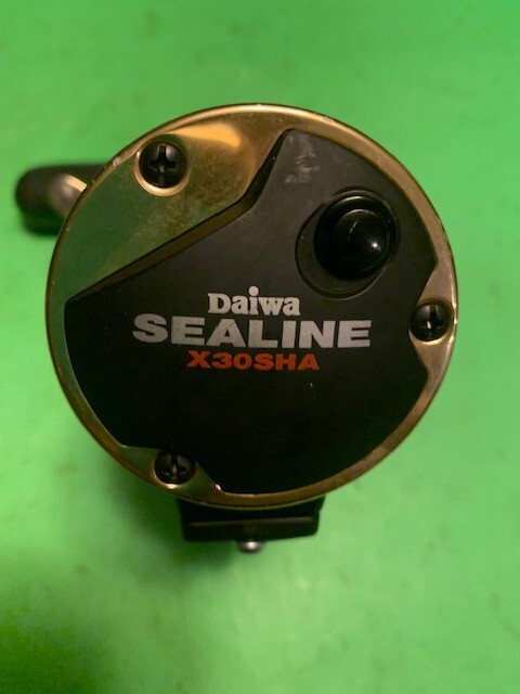 DAIWA SEALINE SPEED SHAFT X 30 SHA CONVENTIONAL CASTING FISHING REEL WITH BRAID