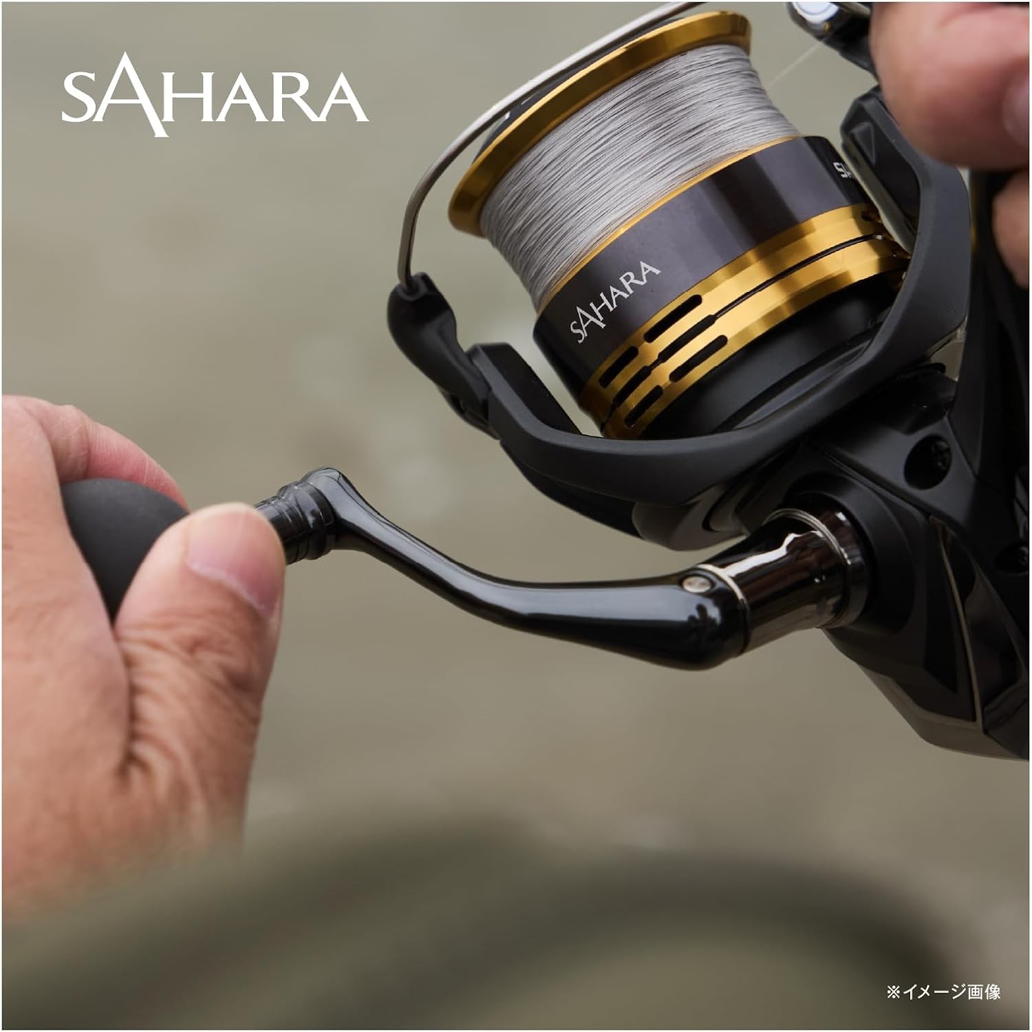 22 Sahara Fishing Reel Shipped from Japan 2022 Model C3000HG)