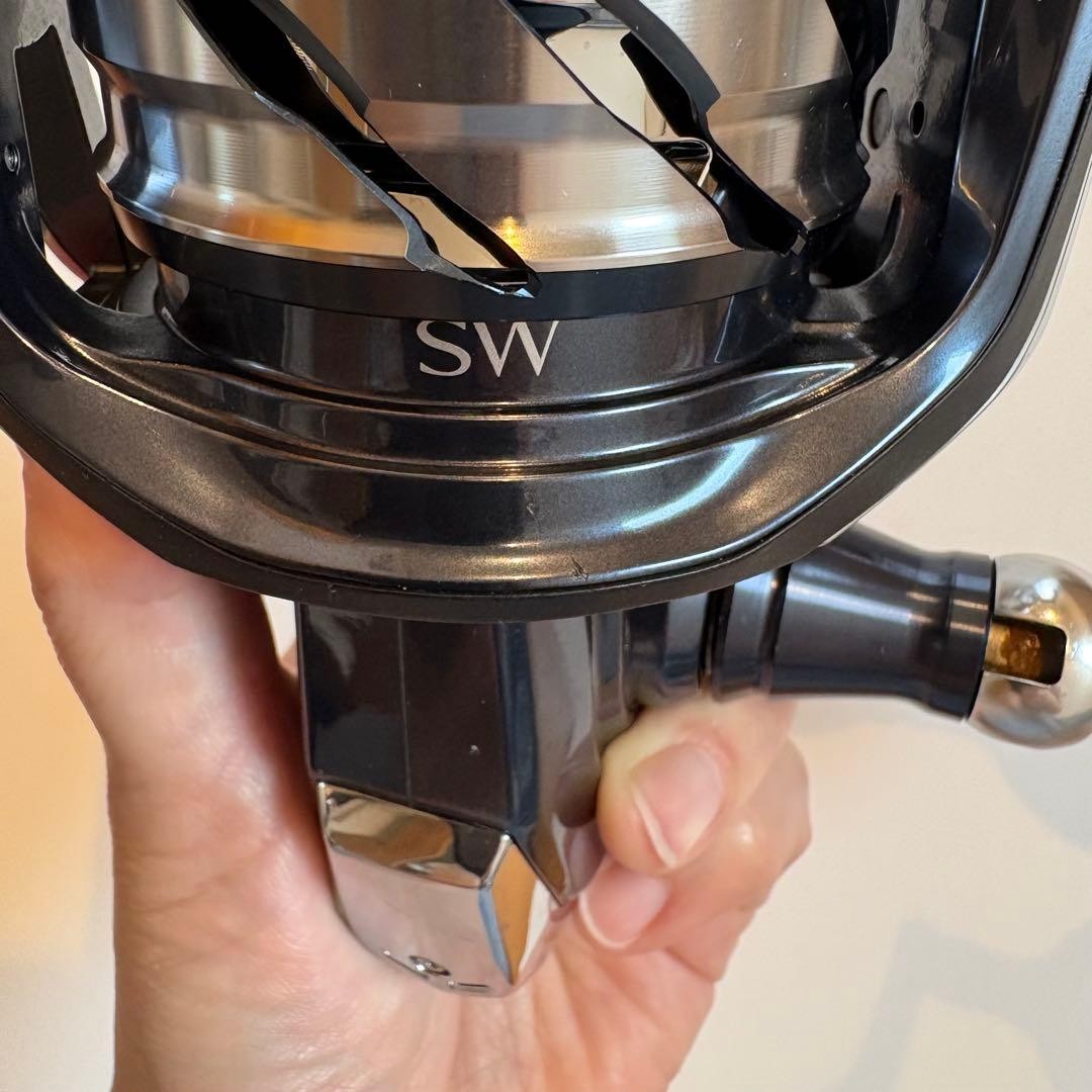 SHIMANO 21 Twin Power SW 8000HG Fishing Reel
