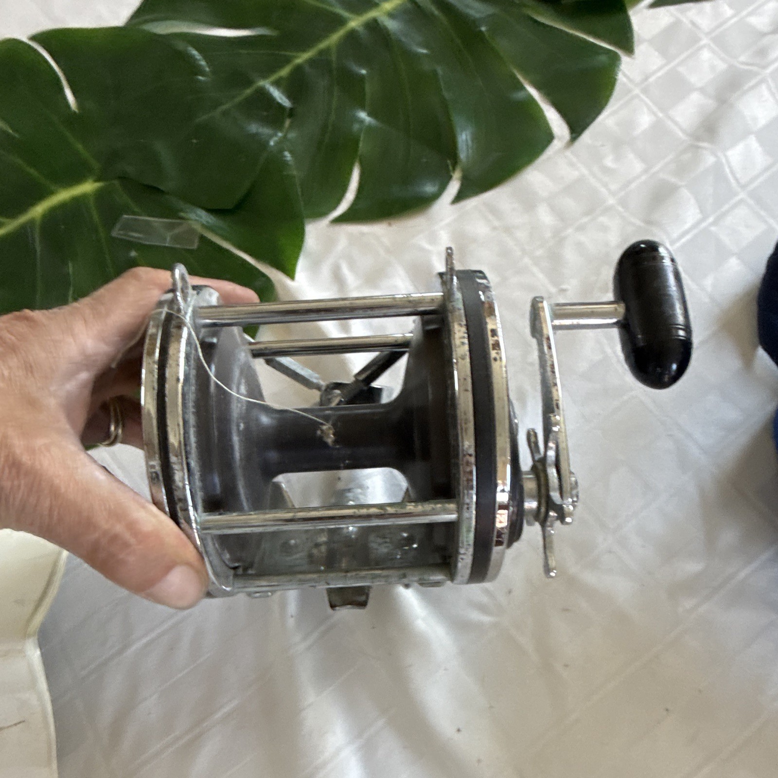 Penn Senator 9/0 Saltwater Fishing Reel