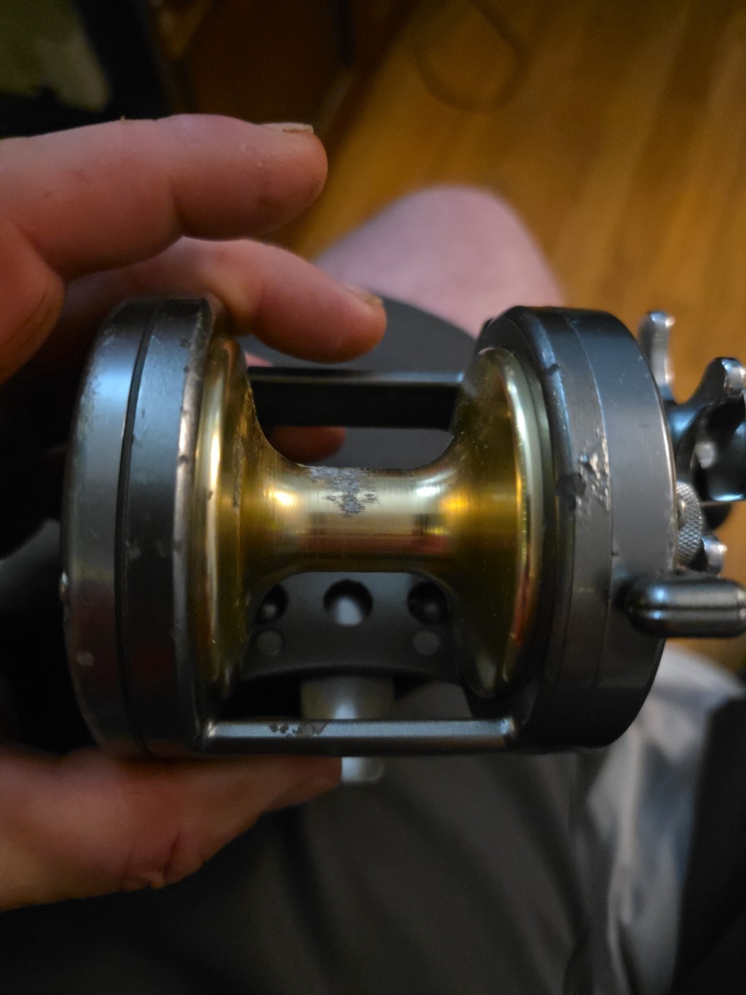 Shimano Torium 20 Star Drag Fishing Reel