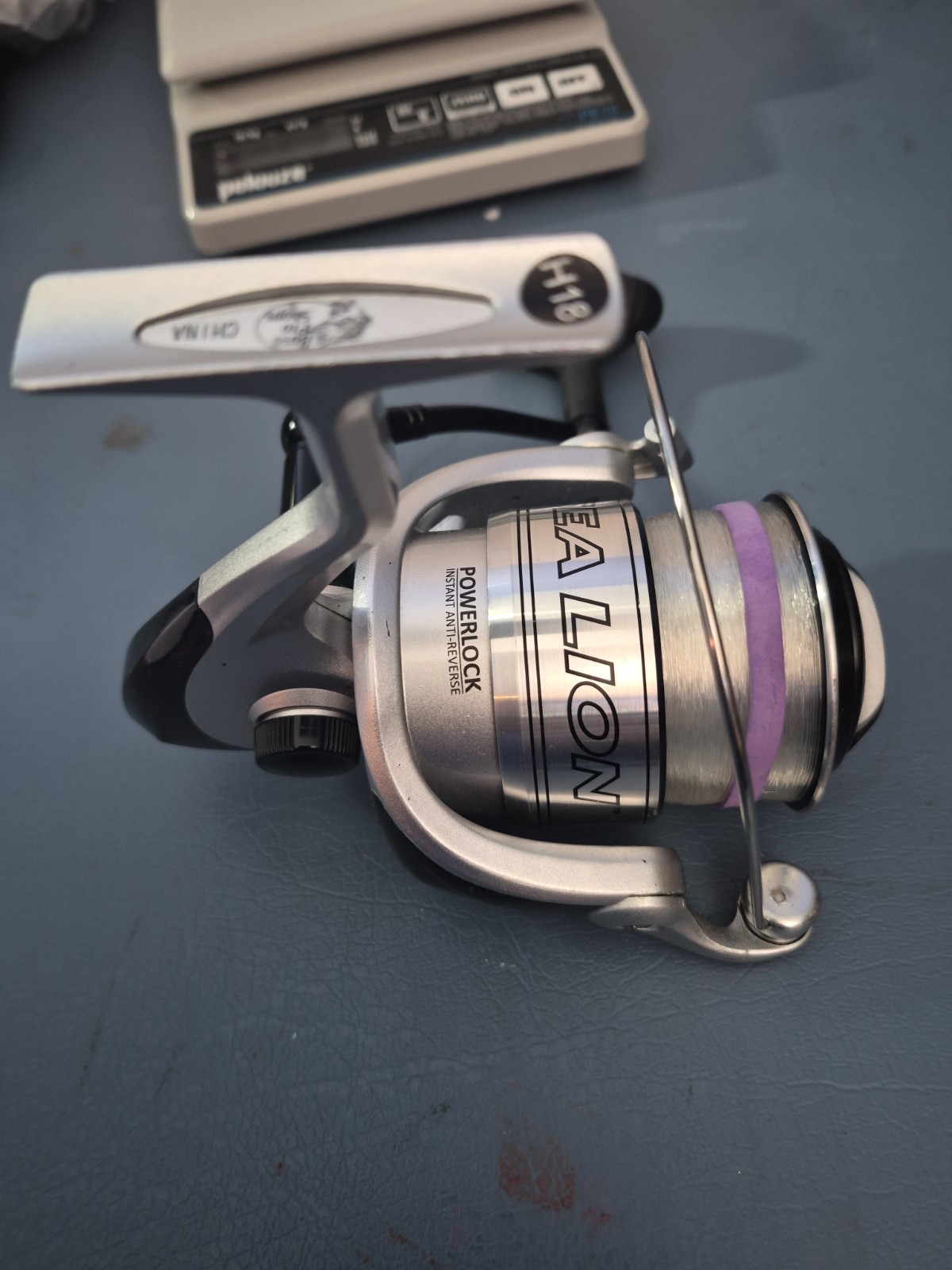 Bass Pro Shop Sea Lion Fishing Reel Spinning Reel