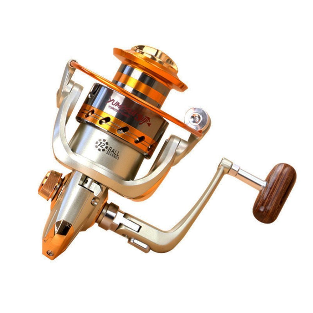 Left/right Hand 12BB Ball Bearing Saltwater Freshwater Fishing Spinning Reel EF