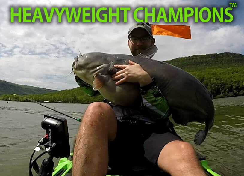 Catfish Sumo Heavyweight Championship Reel, Brass Gears, Lifetime Warranty