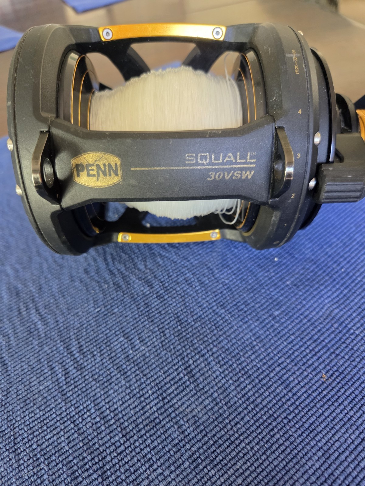 Penn Squall 30VSW Lever Drag 2 Speed / Multiplier Fishing Reel