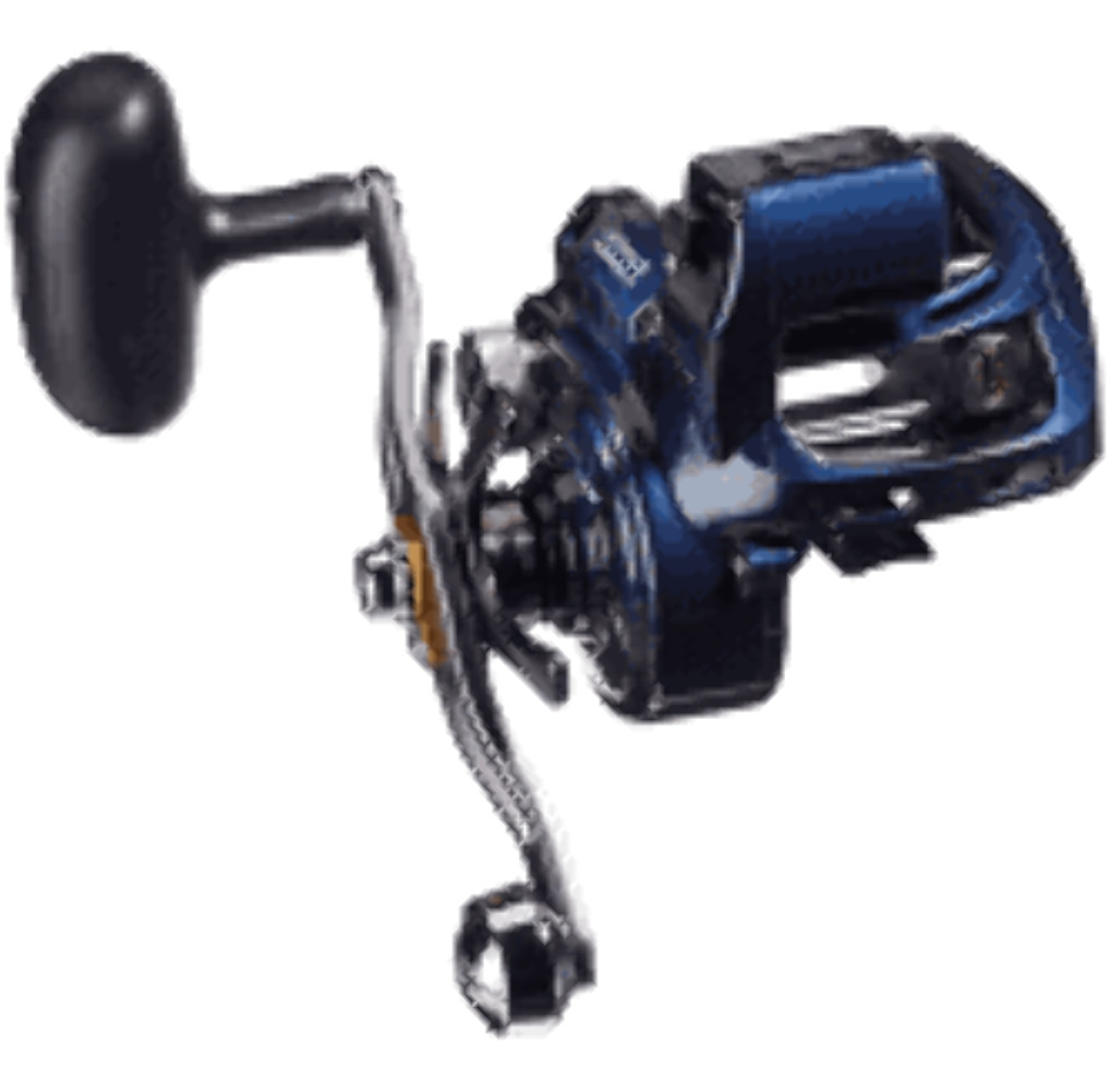 Daiwa Lexa LC Casting Reel