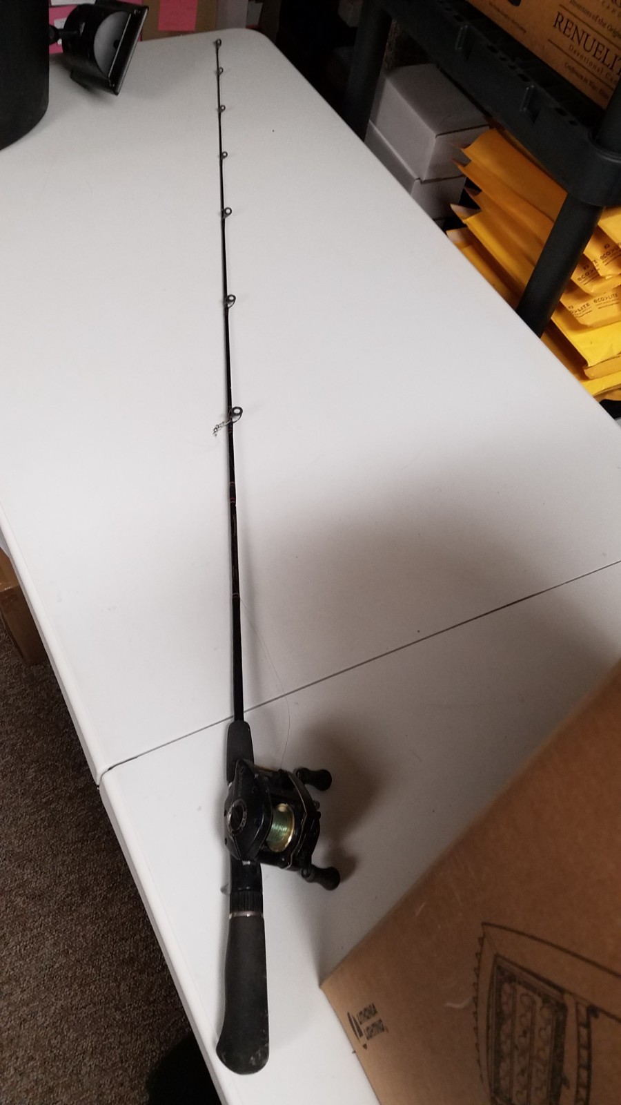 Quantum D310 Graphite Bait Casting Reel & 60″ One Piece Browning Gold Medalion R