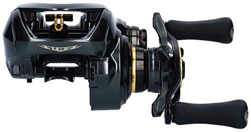 DAIWA Bait Reel 19 Stiez CT SV TW 700HL (2019 Model)NEW