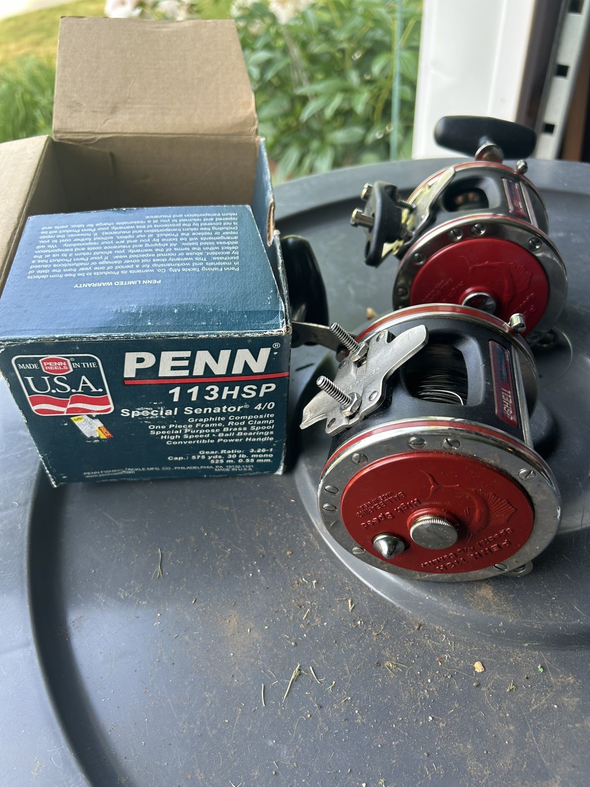 Special Senator „Wire Line“ 113HSP With Wire Line