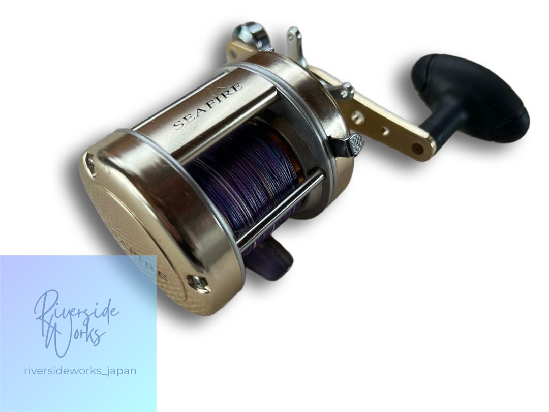 Daiwa Baitcasting Reel Silver Gold for Boat Fishing