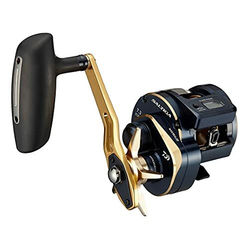 21SALTIGA IC 300H-SJ　Daiwa 21 SALTIGA IC 300H-SJ Right Handle Gear 7.3 Baitcast