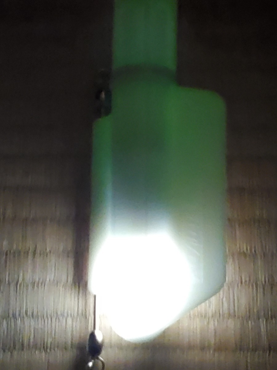 Miya Epoch Flash Capsule DX Underwater Light Fish Attracting Lamp Water Depth 10