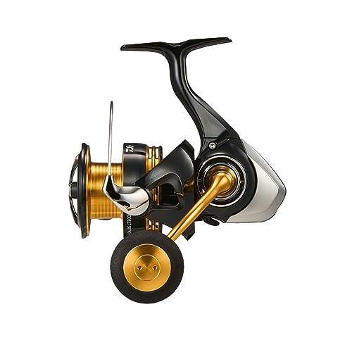DAIWA LT5000-CXH Shore Jigging Spinning Reel 23 LegalisNEW