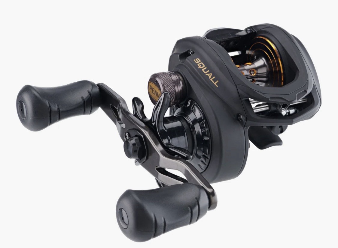 Penn Squall Low Profile SQL200LPHS High Speed Baitcast Reel