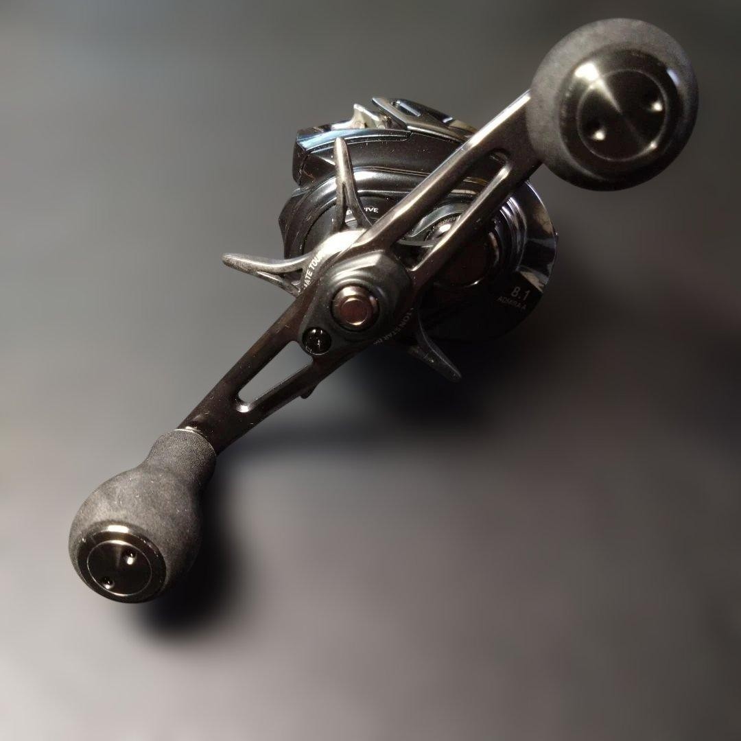 DAIWA Admira 8.1 bait Reel 555349