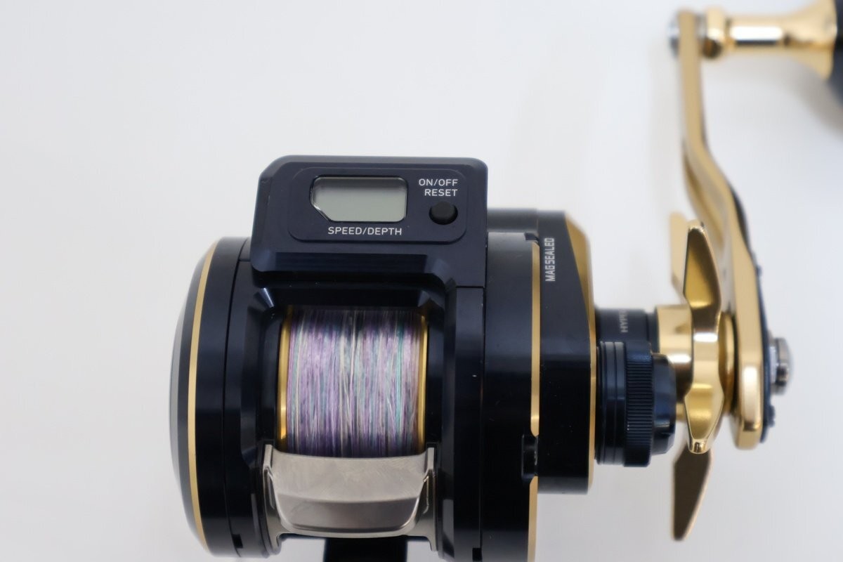 DAIWA 21 SALTIGA IC 300H-SJ 958459