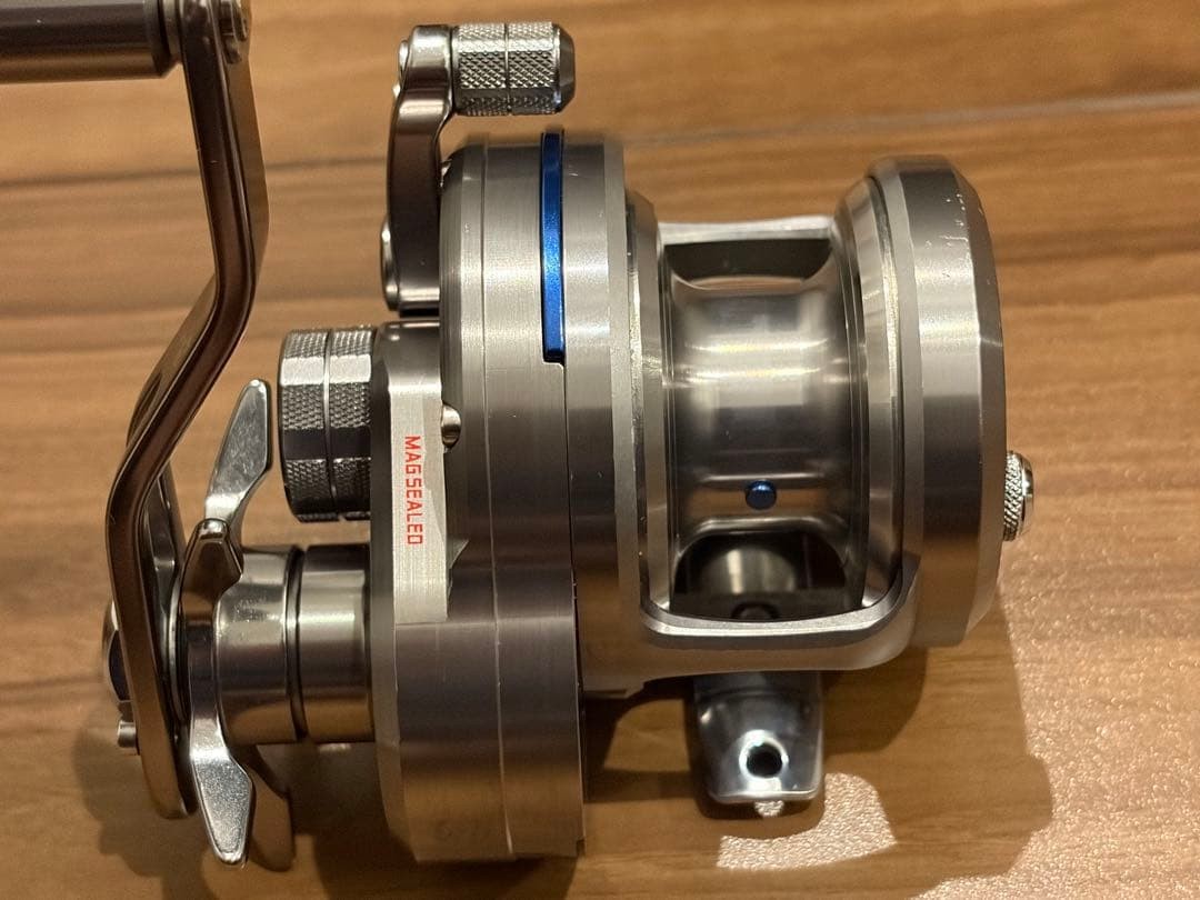 DAIWA 15 Saltiga 10H 658841
