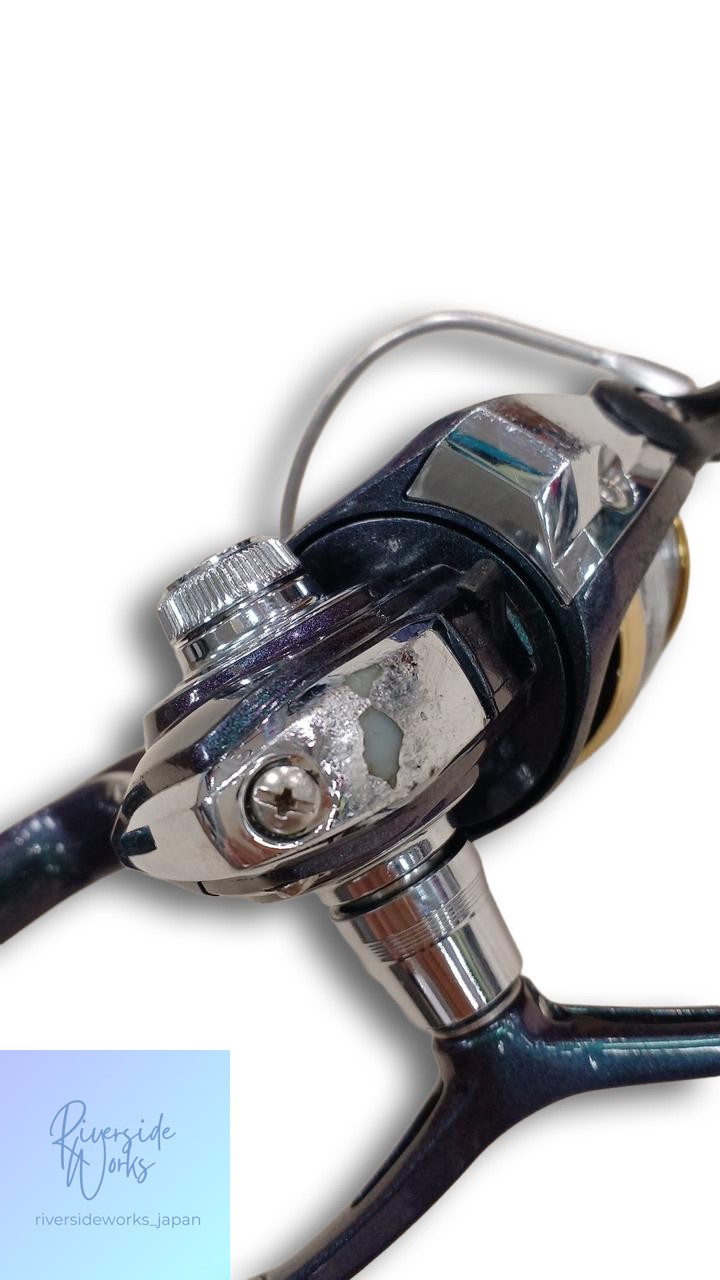 DAIWA EMERALDAS INF 2506W Spinning Reel Fishing Equipment