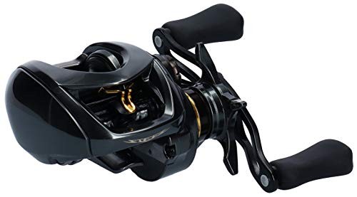 DAIWA Bait Reel 19 Stiez CT SV TW 700HL (2019 Model)NEW