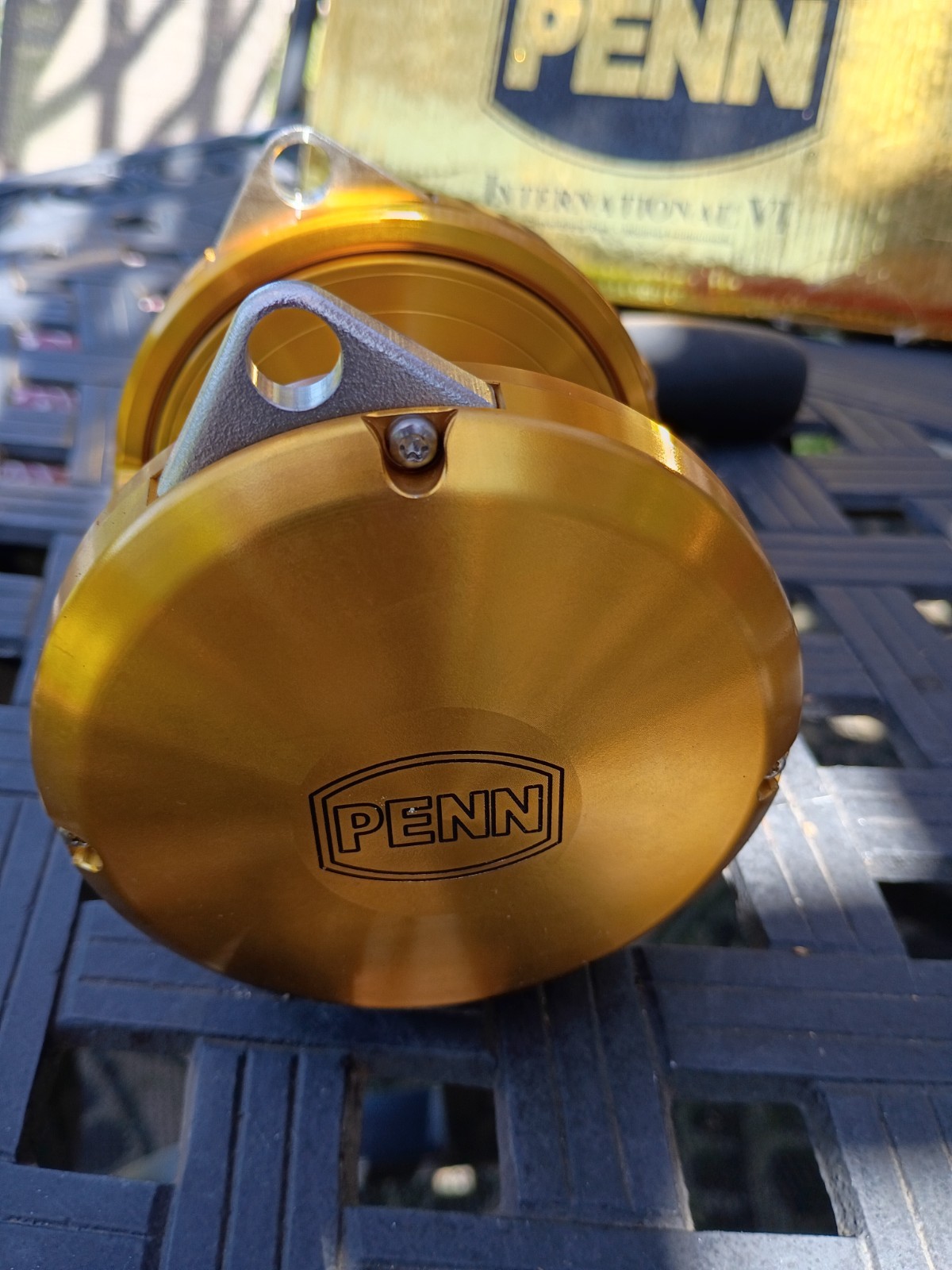 PENN International 30VISX Gold