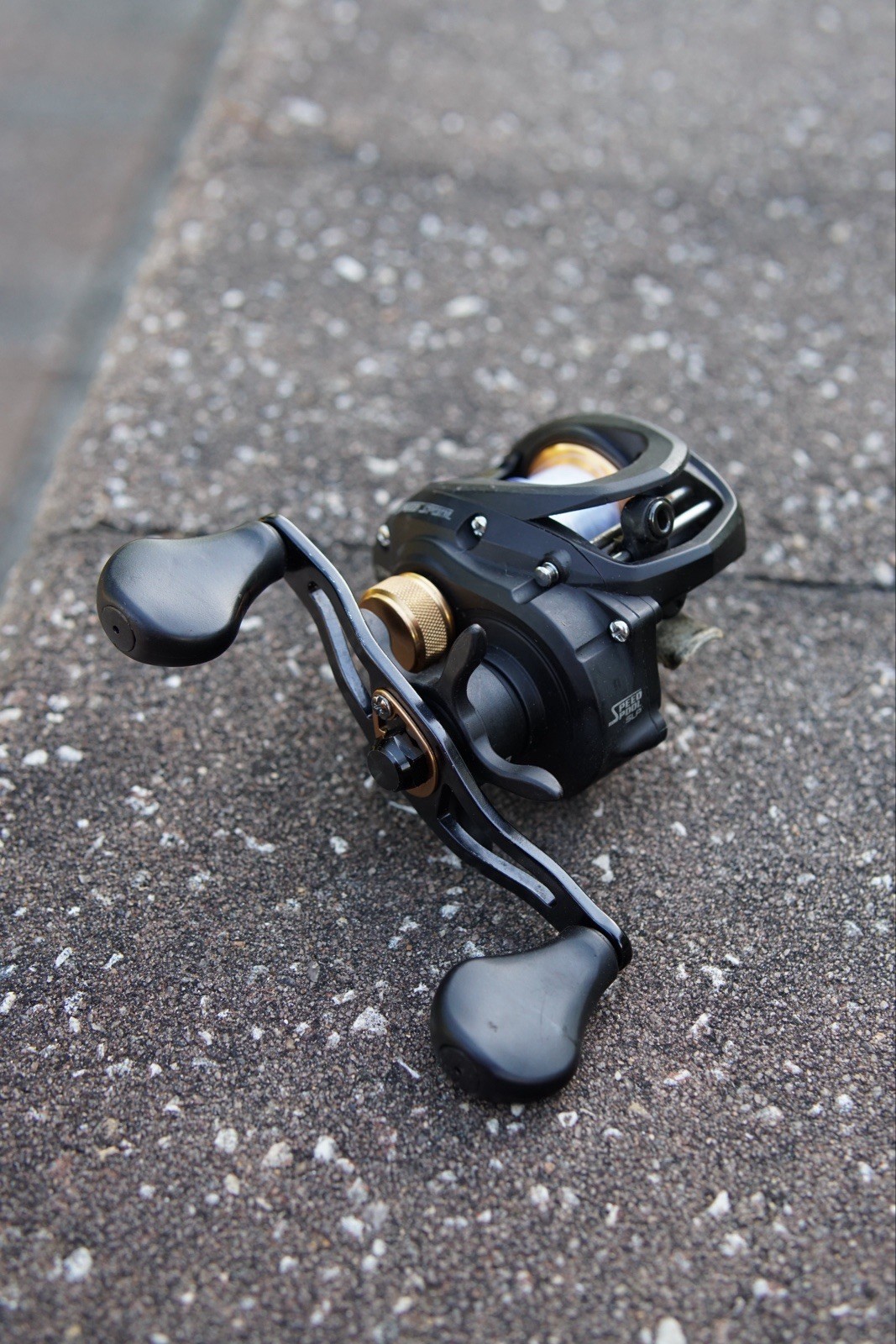 Classic Pro CP15H Low Profile Baitcast Reel Right Hand 6.3:1 5BB Black/Gold