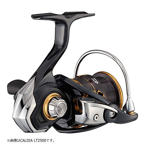 DAIWA 21 Caldia LT2500S-XH