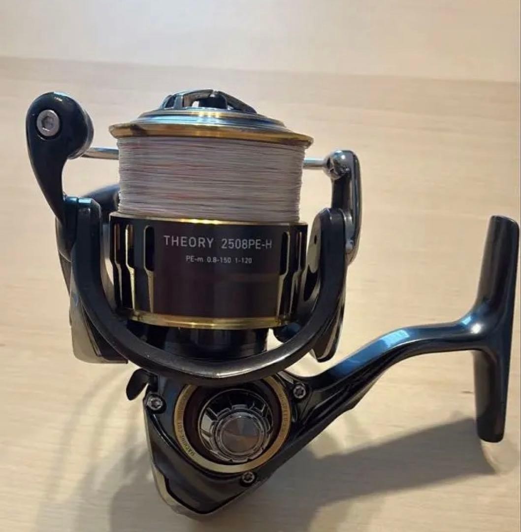 Daiwa Theory 2508PE-H 62294
