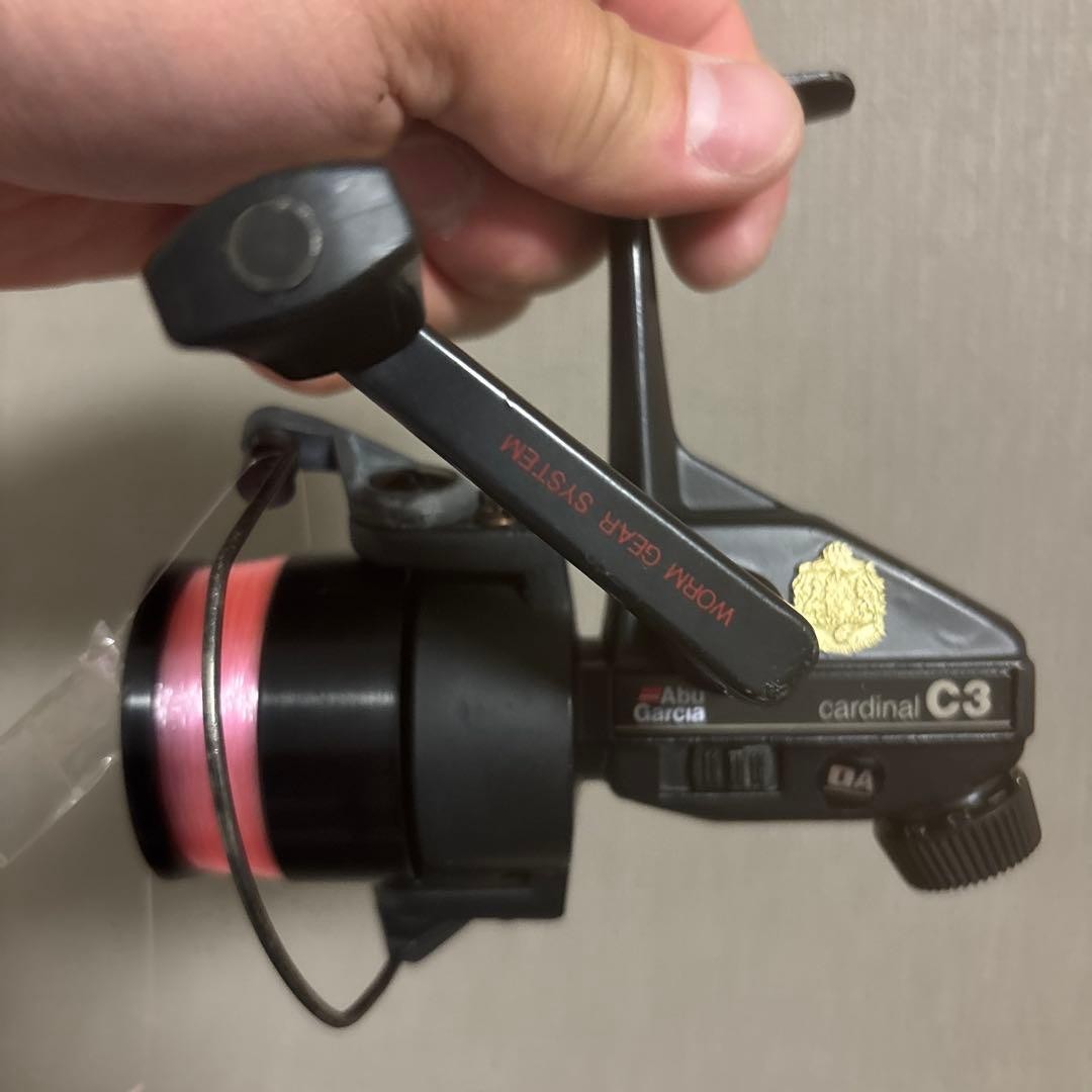 Abu Garcia cardinal C3 spinning reel